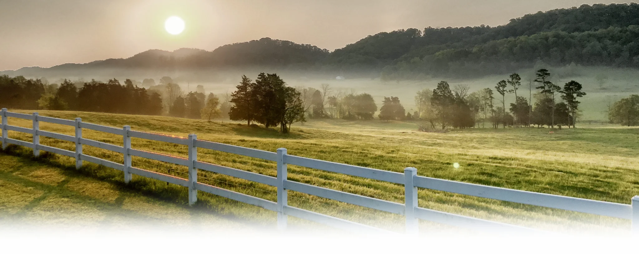 pasture